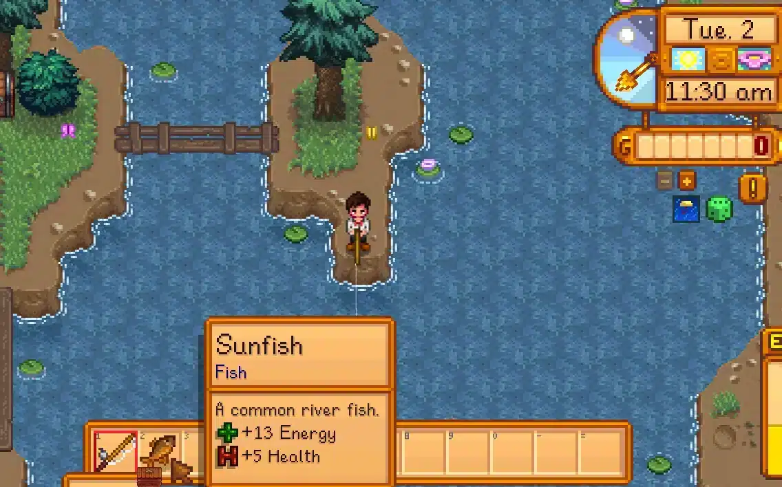 Sunfish Stardew Valley