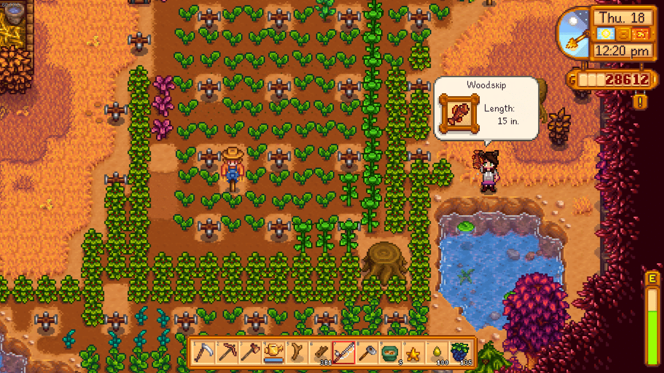 Woodskip Stardew Valley
